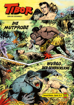 Hansrudi Wäscher Spezial 09 