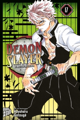 Demon Slayer 17 