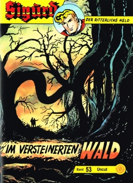 Im versteinerten Wald  Heft, 24 Seiten, farbig, 24 x 17 x 0,3 cm 