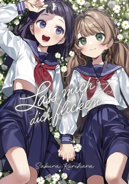 Lass mich dich flicken 