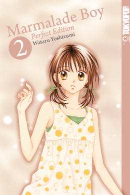 Marmalade Boy Perfect Edition 02 
