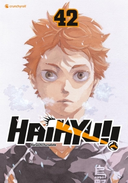 Haikyu!! 42 