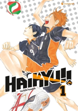 Haikyu!! 01-45 komplett 
