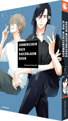 Sonnenschein nach rauchblauem Regen 01 