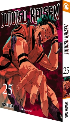 Jujutsu Kaisen 25 