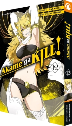 Akame ga KILL! 12 