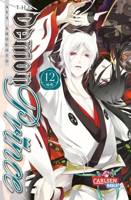 The Demon Prince 12 