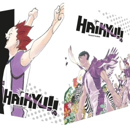 Haikyu!! Sammelbox 04 (31-40 im Schuber) 