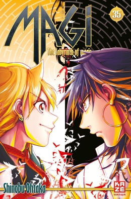 Magi – The Labyrinth of Magic 35 