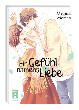 Ein Gefühl namens Liebe 13 