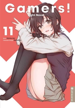 Gamers! Light Novel 11 