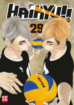 Haikyu!! 29 