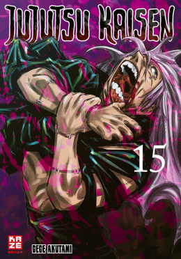 Jujutsu Kaisen 15 