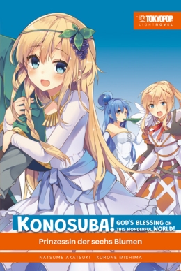 Konosuba God's Blessing on this wonderful World Light Novel 06 