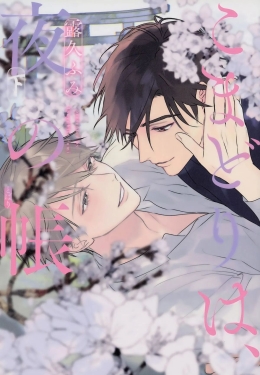 Im Schleier der Nacht 02 