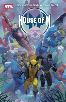 Panini Pocket: House of M 