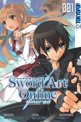 Sword Art Online Aincrad 01 & 02 komplett 