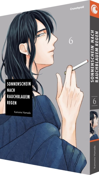 Sonnenschein nach rauchblauem Regen 06 