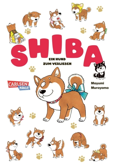 Shiba Ein Hund zum Verlieben 