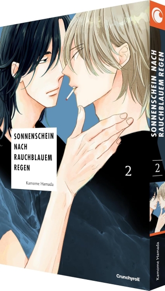 Sonnenschein nach rauchblauem Regen 02 