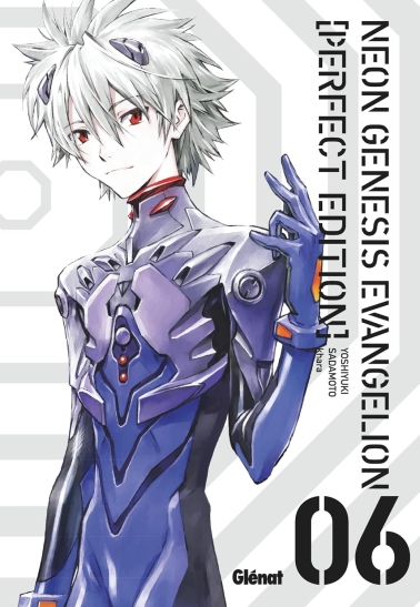 Neon Genesis Evangelion Perfect Edition 06 