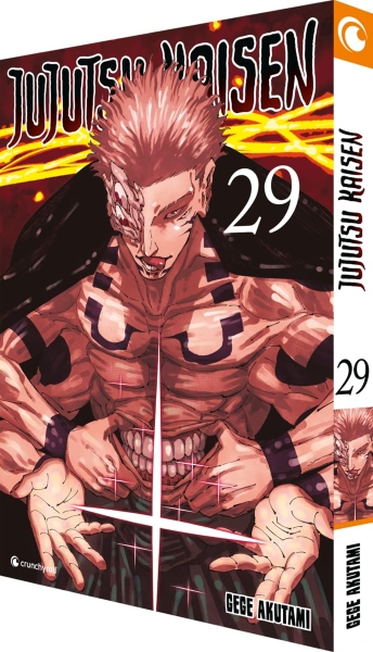 Jujutsu Kaisen 29 