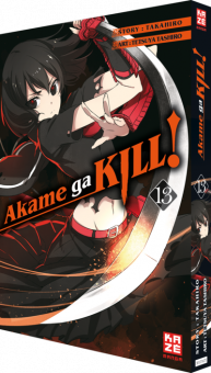 Akame ga KILL! 13 