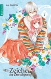morepic-8